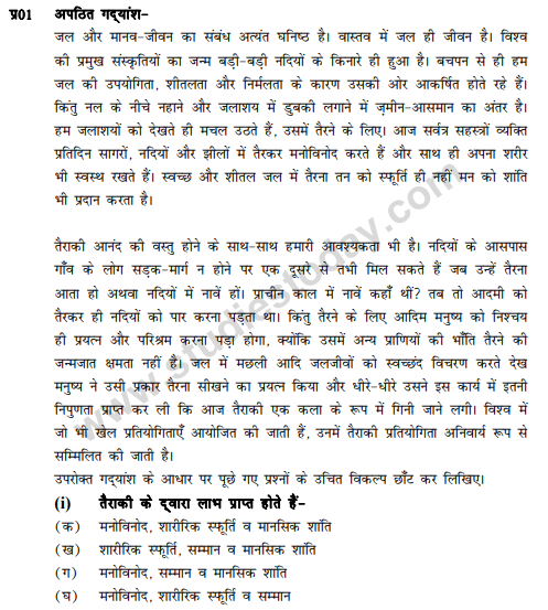 CBSE Class 9 Hindi B Sample Paper Set 16